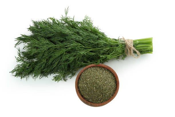 سفارش آنلاین شوید خشک شده شرایط ویژه