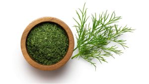 شوید خشک قیمت عمده برای مصارف رستورانی و تولیدی