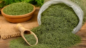 معیارهای انتخاب شوید خشک کیلویی