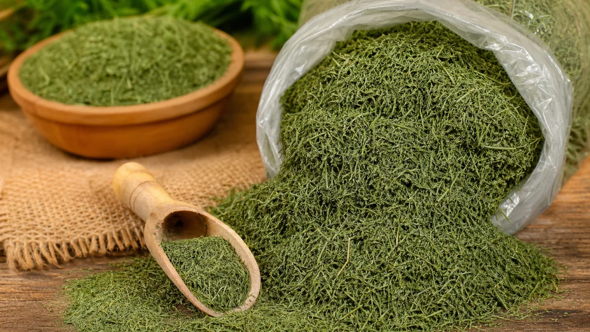 معیارهای انتخاب شوید خشک کیلویی