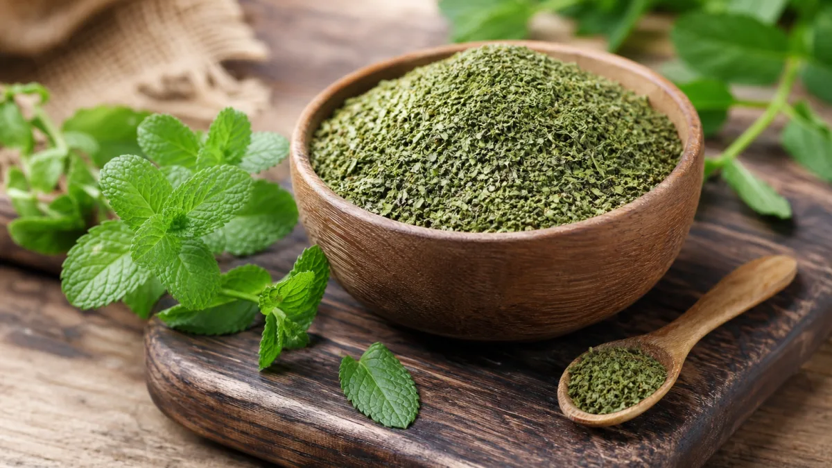 راهنمای انتخاب نعنا خشک ۱۰۰ گرمی