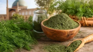 انتخاب شوید خشک کاشان برای فروشگاه‌ها